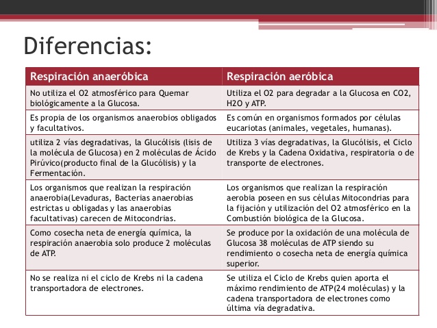 Respiracion aerobia y anarobia Cuadro Comparativo