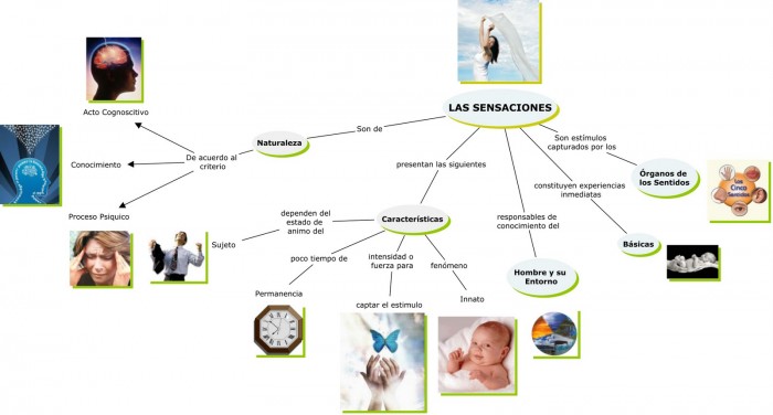 Sensaciones Mapas Mentales