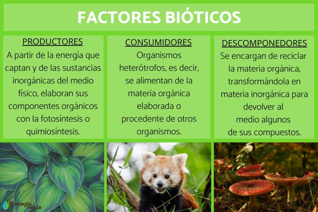 factores_bioticos_caracteristicas