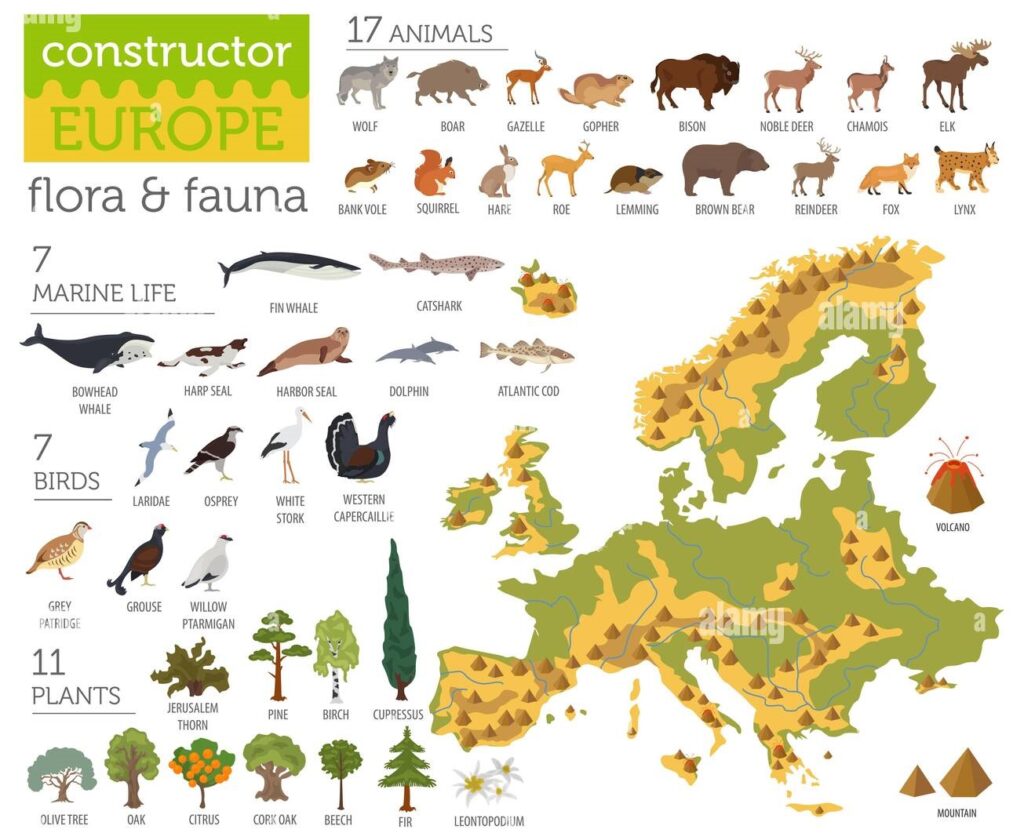 Flora y Fauna de Europa